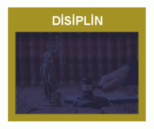 disiplin